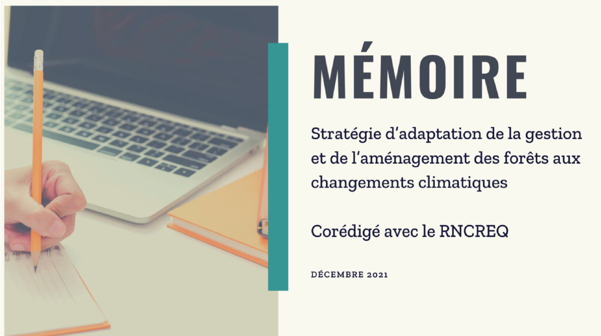 Stratégie d’adaptation de la gestion et de l’aménagement des forêts aux changements climatiques 