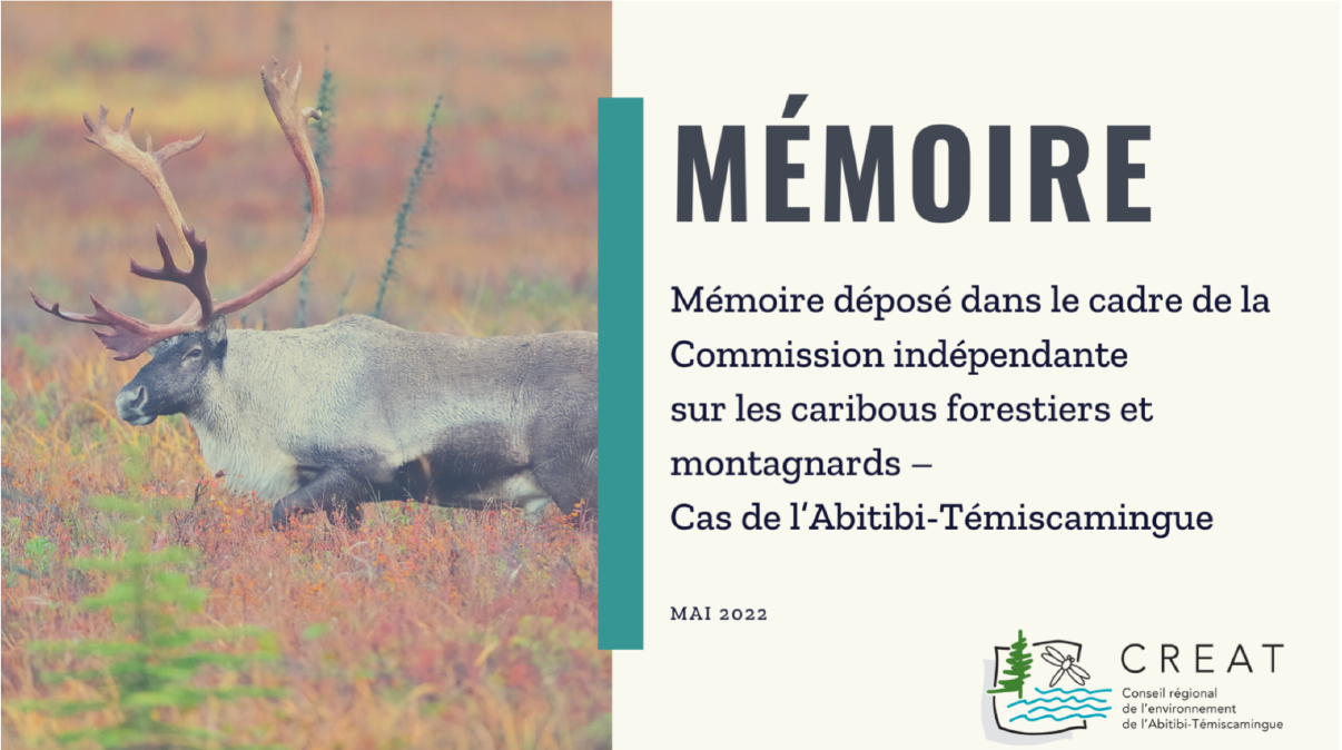 Commission indépendante sur les caribous forestiers et montagnards – Cas de l’Abitibi-Témiscamingue