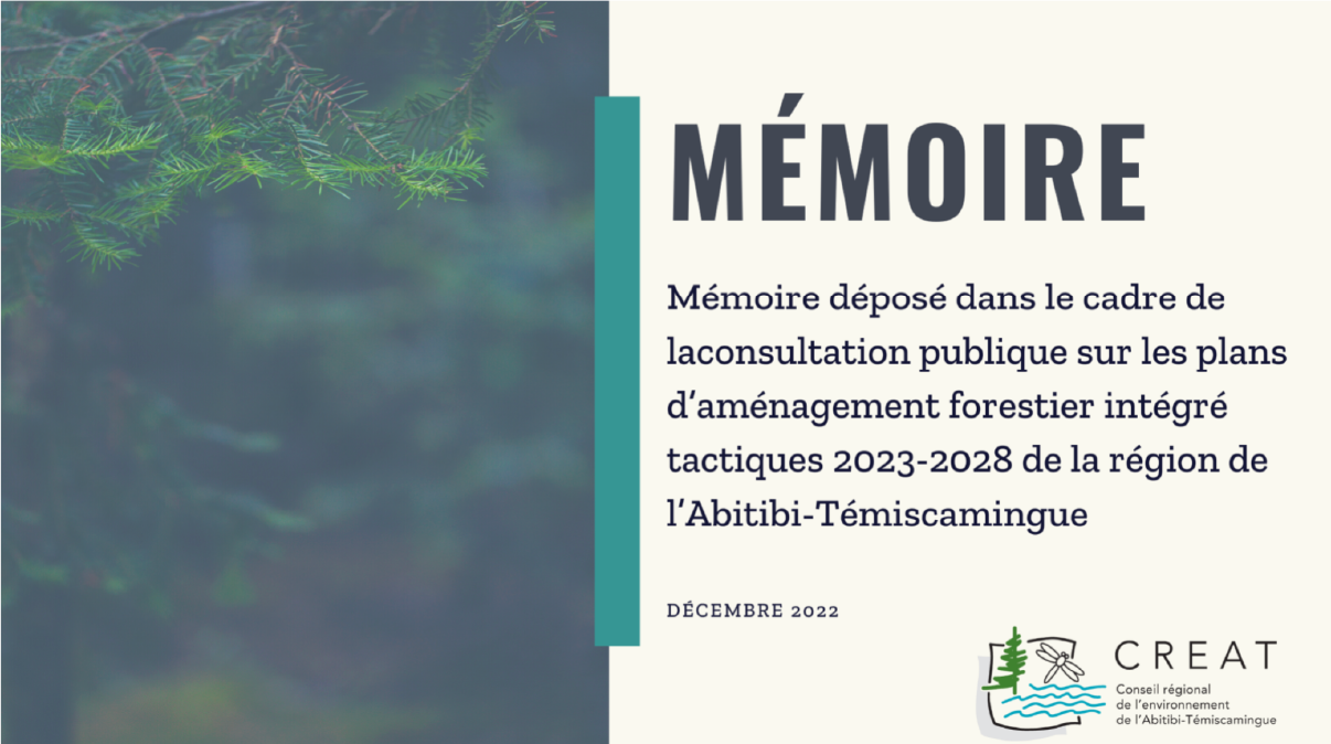 Plans d’aménagement forestier intégré tactiques (PAFIT) 2023-2028 