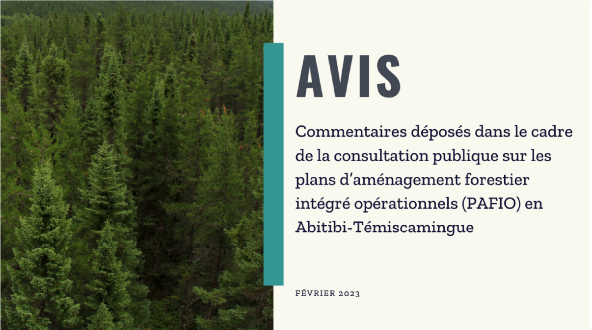 Commentaires PAFI-O de l’Abitibi-Témiscamingue 2023