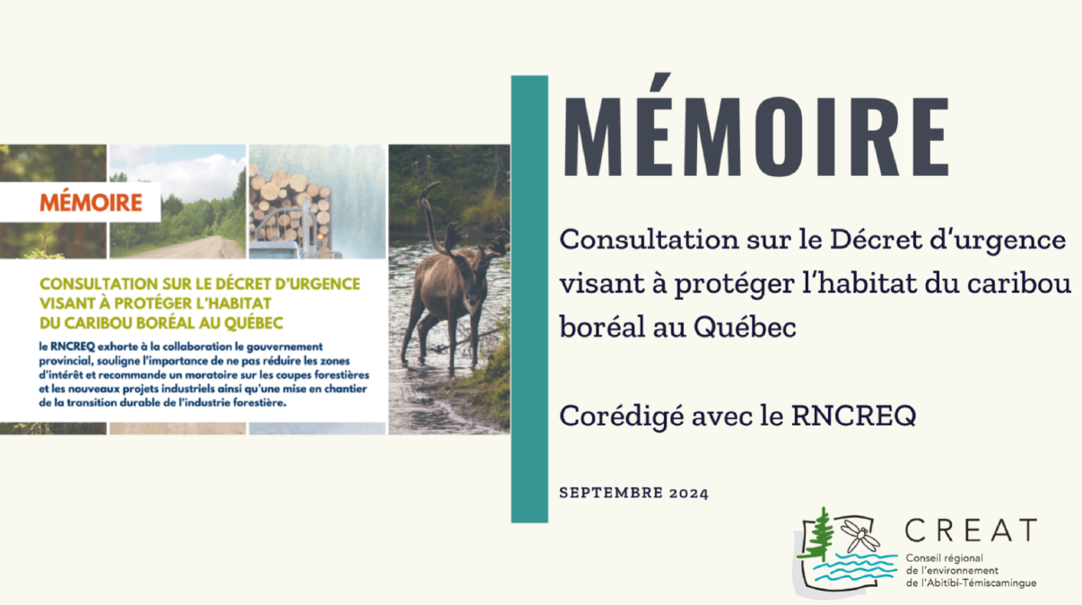 Consultation sur le Décret d’urgence visant à protéger l’habitat du caribou boréal au Québec
