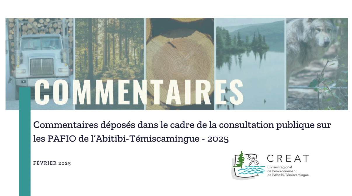 Commentaires dans le cadre de la consultation publique sur les PAFIO de l’Abitibi-Témiscamingue - 2025