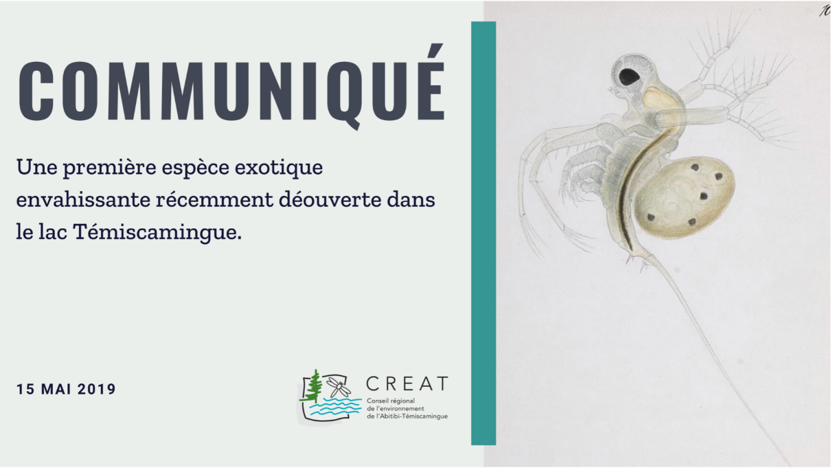 Une première espèce exotique envahissante récemment déouverte dans le lac Témiscamingue