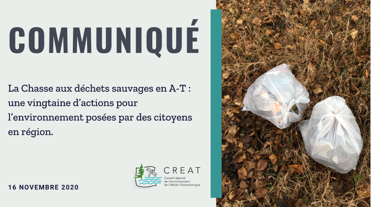 La Chasse aux déchets sauvages en A-T : une vingtaine d’actions pour l’environnement posées par des citoyens en région