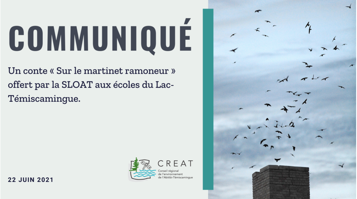 Un conte « Sur le martinet ramoneur » offert par la SLOAT aux écoles du Lac-Témiscamingue.