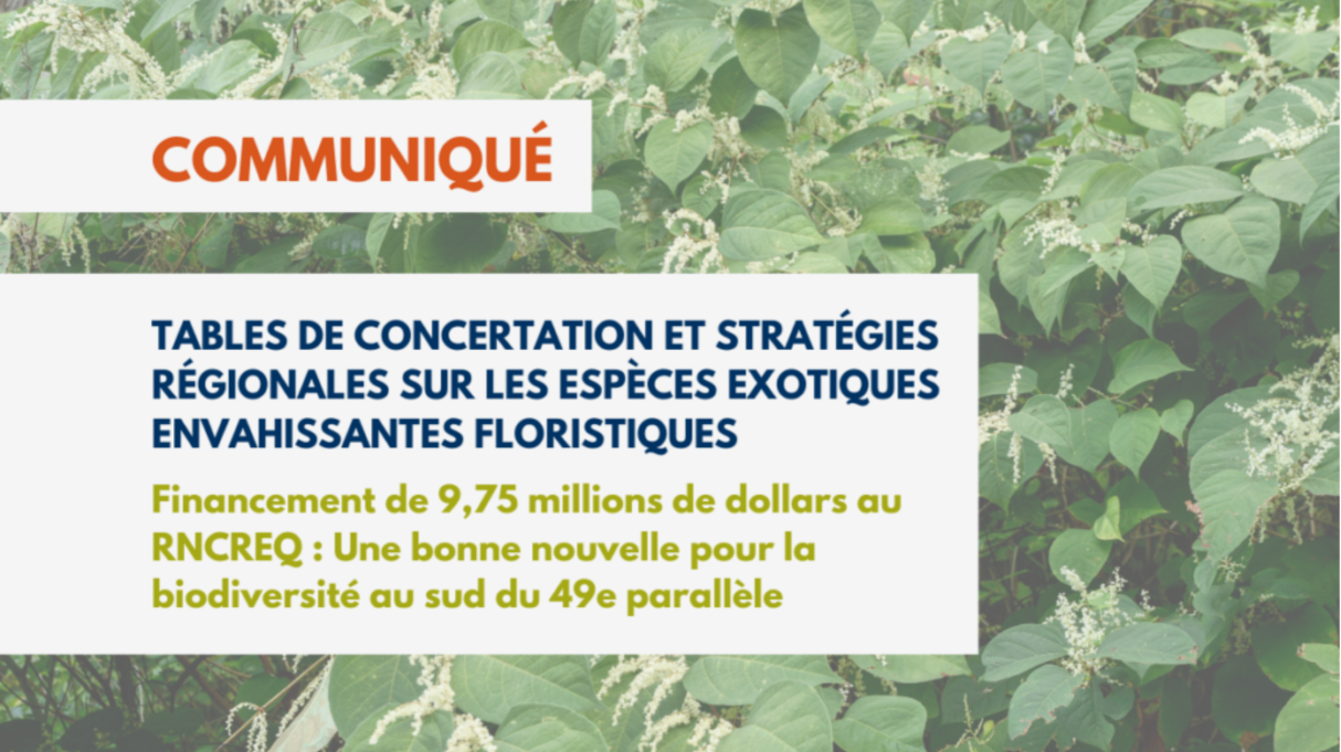 Tables de concertation et stratégies régionales sur les espèces exotiques envahissantes floristiques