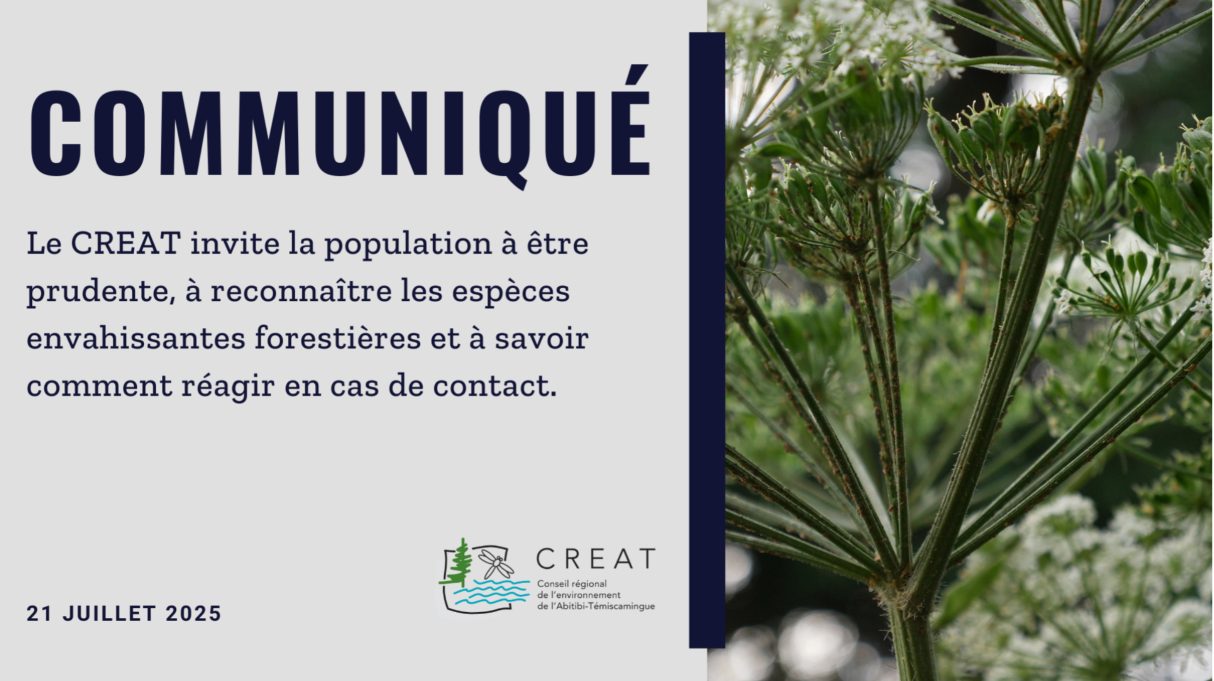&nbsp;Savoir reconnaître les espèces floristiques problématiques présentes en Abitibi-Témiscamingue&nbsp;
