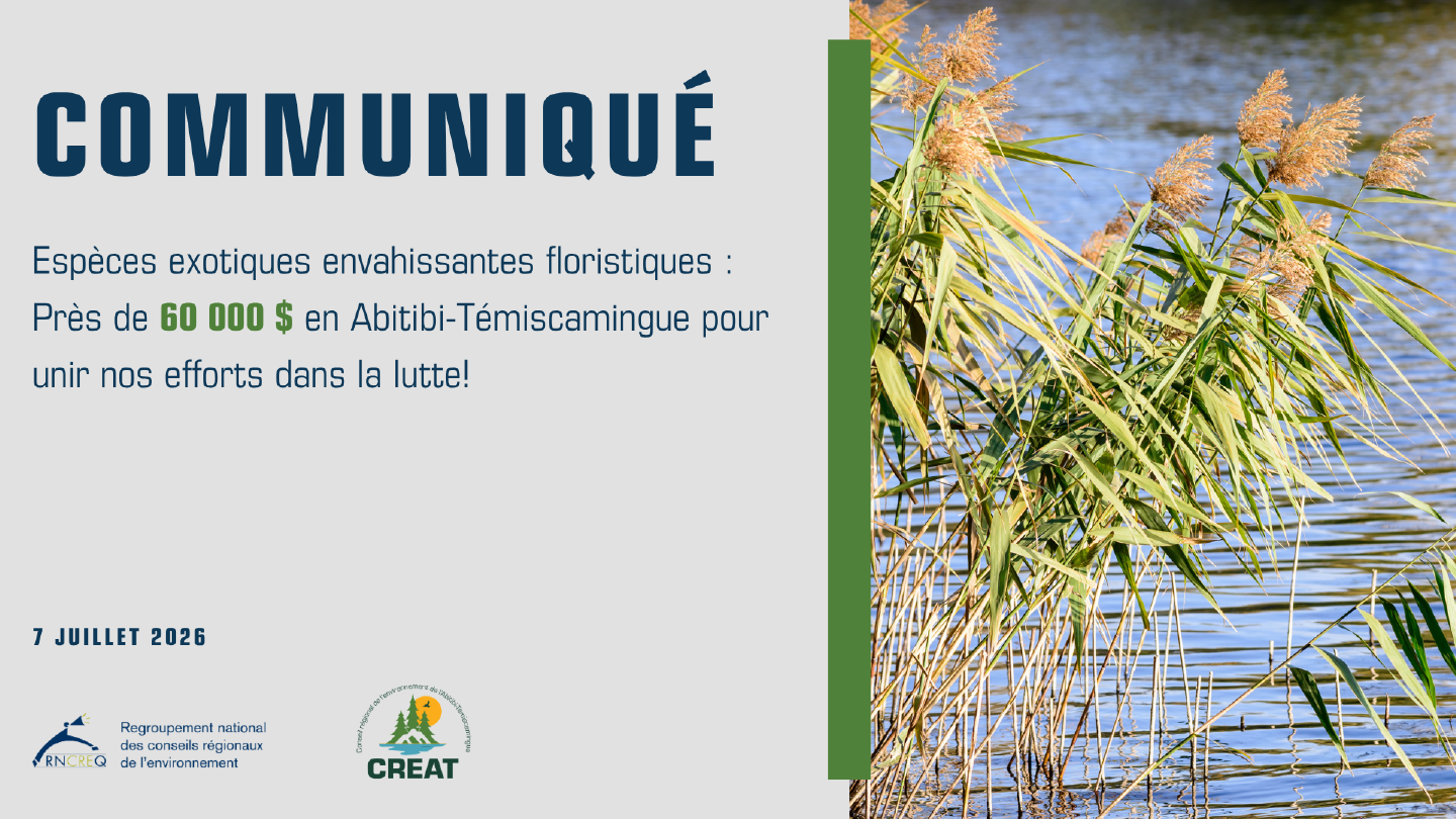 Espèces exotiques envahissantes floristiques :Près de 60 000 $ en Abitibi-Témiscamingue pour unir nos effortsdans la lutte!