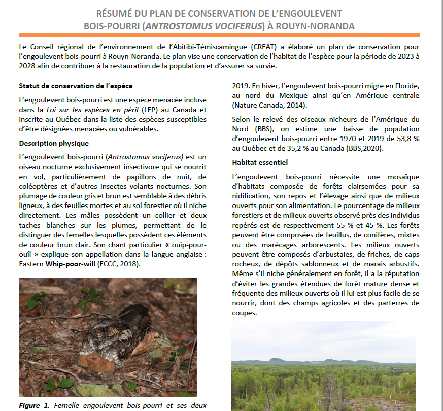 Capture d’écran 2022-12-22 090704.png