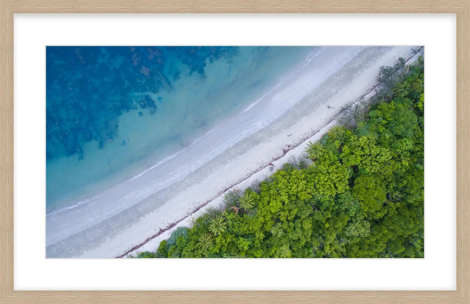 Cape Trib Springfield.jpg
