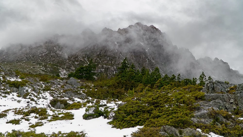Cradle Mtn Mist-34.jpg