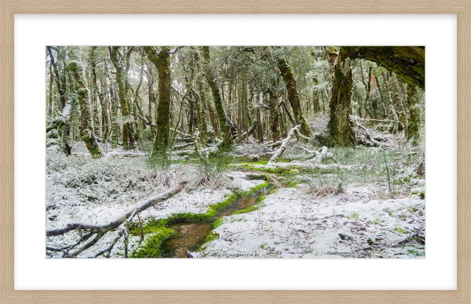 Highland Stream Springfield.jpg
