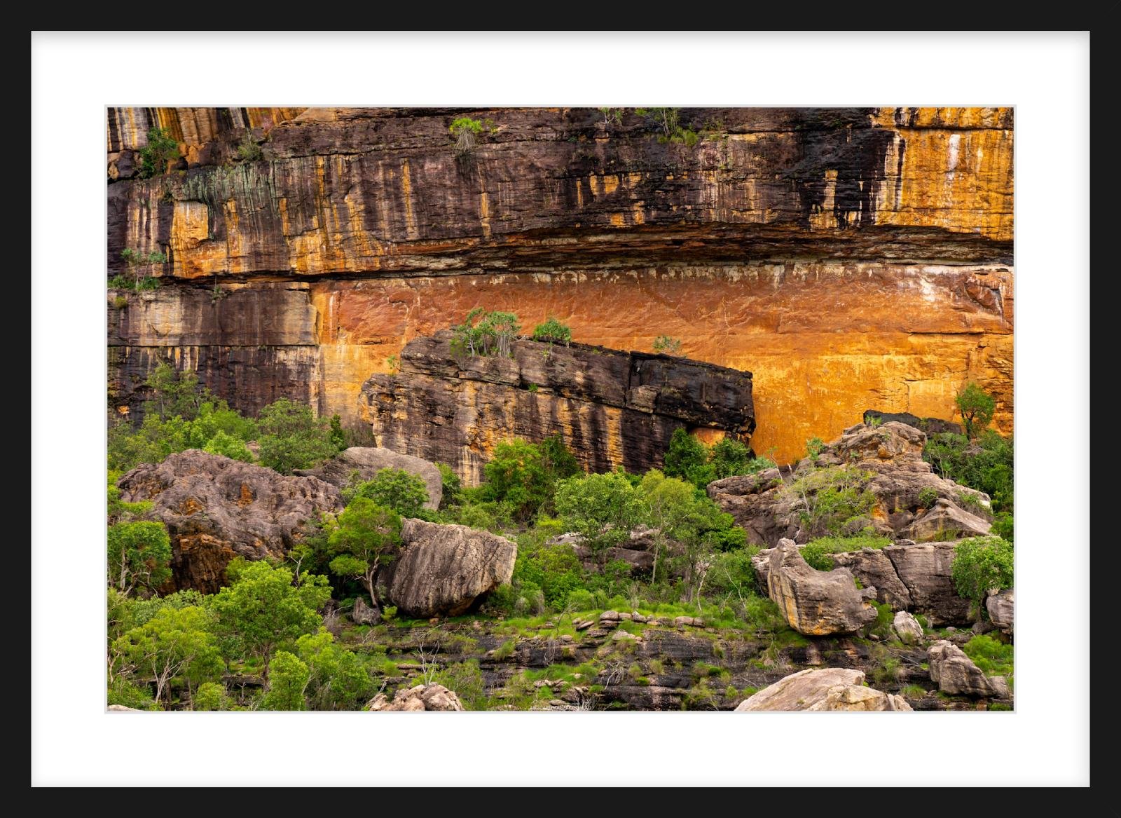 Kakadu Zeppelin Slim.jpg