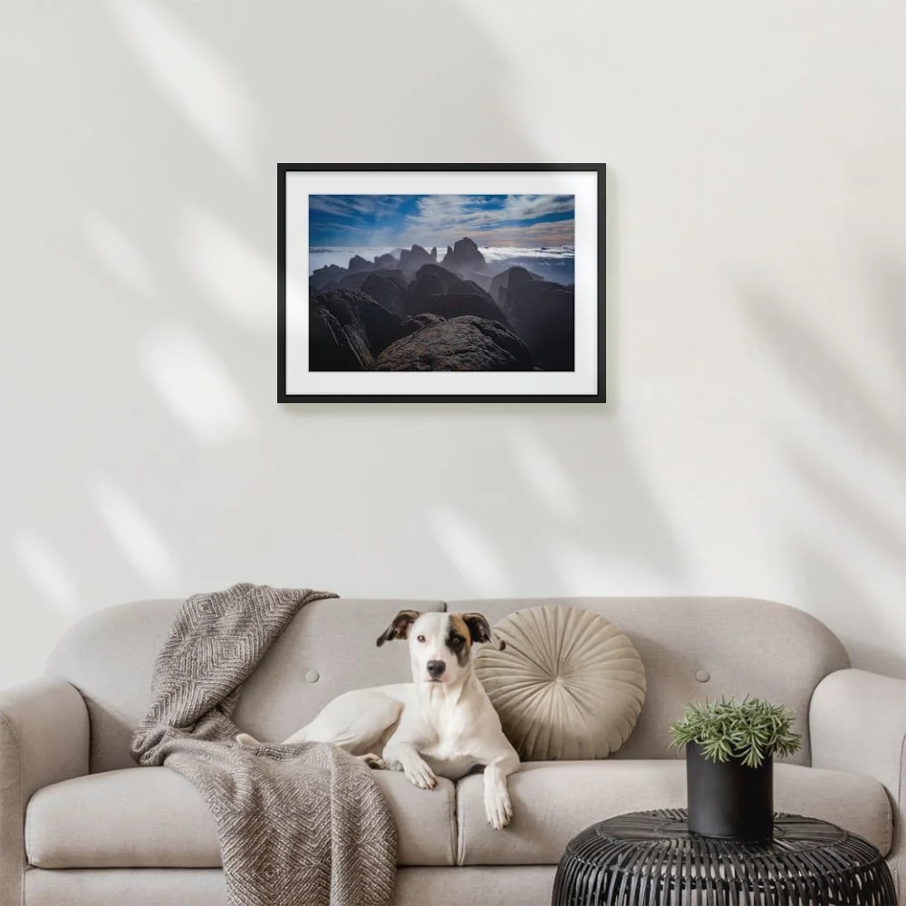 mt-ossa_600-x-400mm_50mm_zeppelin-slim_interior-dog-on-sofa.jpg