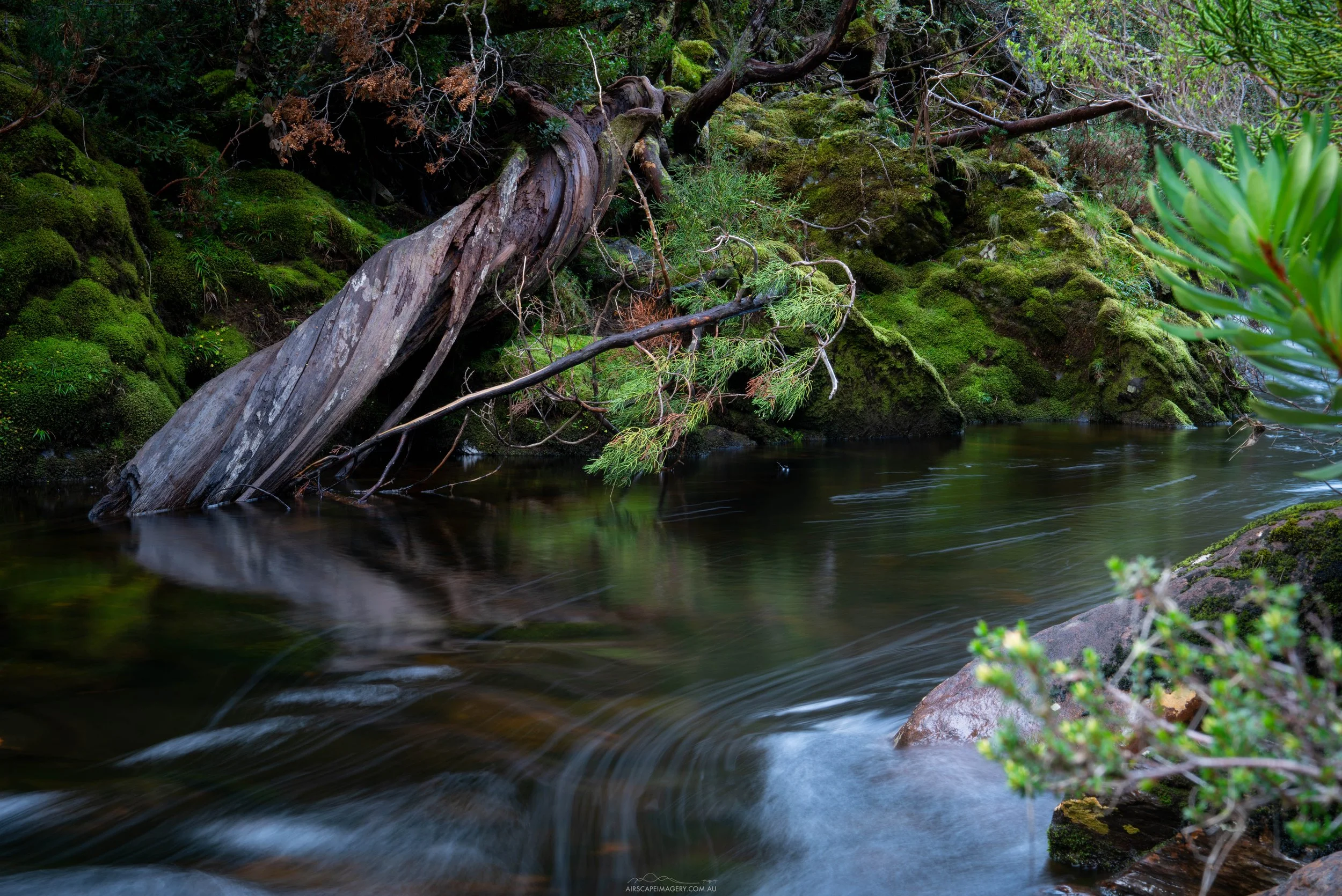 Douglas Creek, The Overland Track, Tasmania.