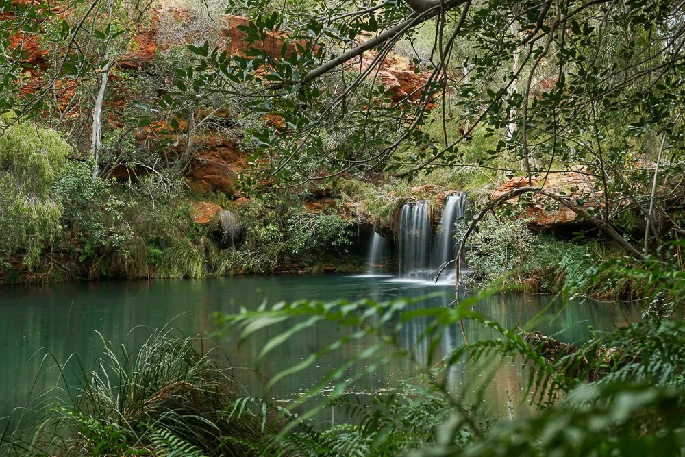 Karijini Fern Pool-51.jpg
