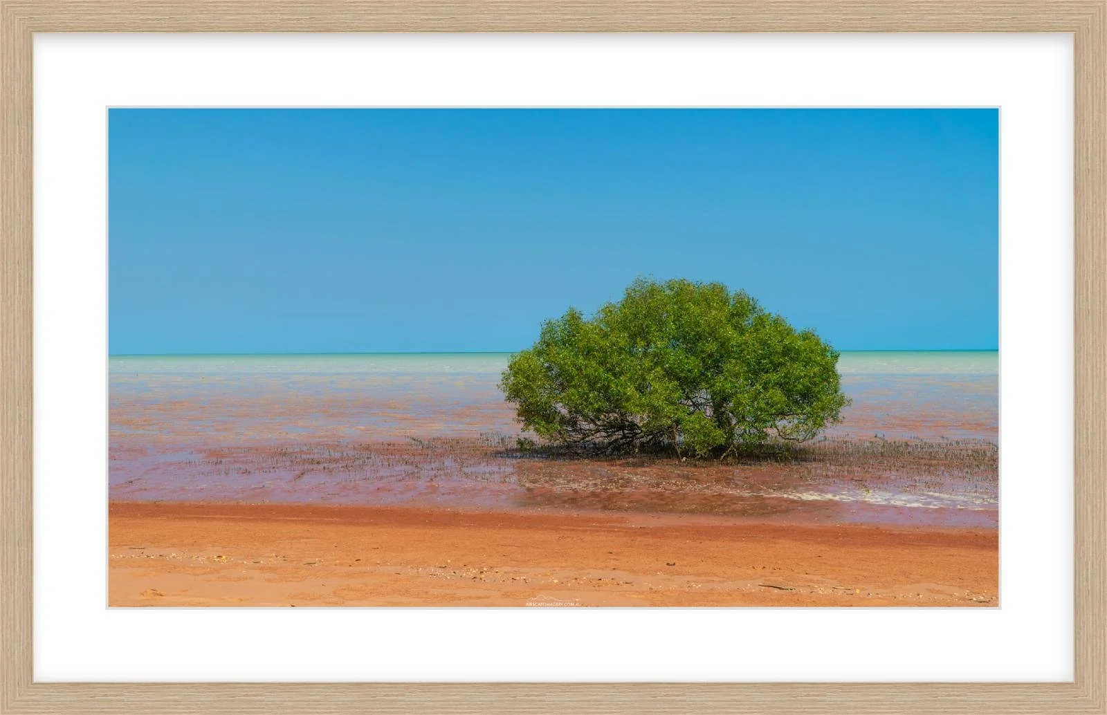 Roebuck Bay