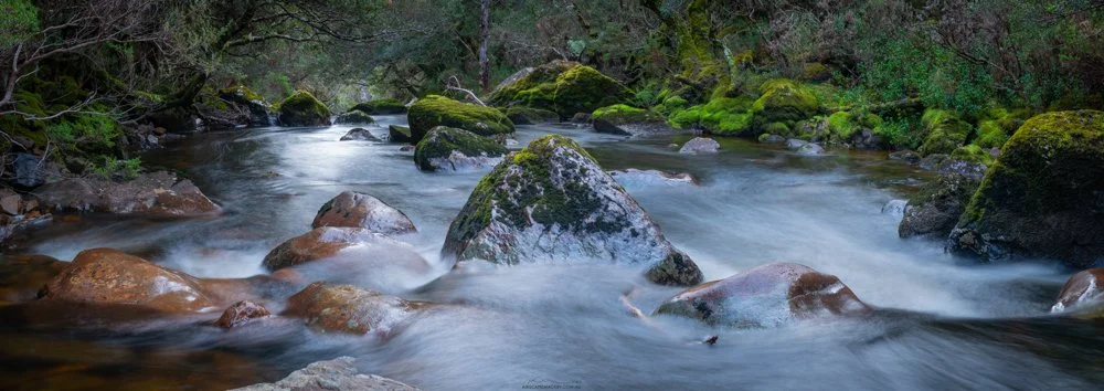 Streamscape Pano compressed.jpg