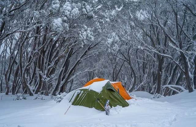 A campsite with two tents, one green and one orange, set up in a snow-covered forest with snow on the trees.