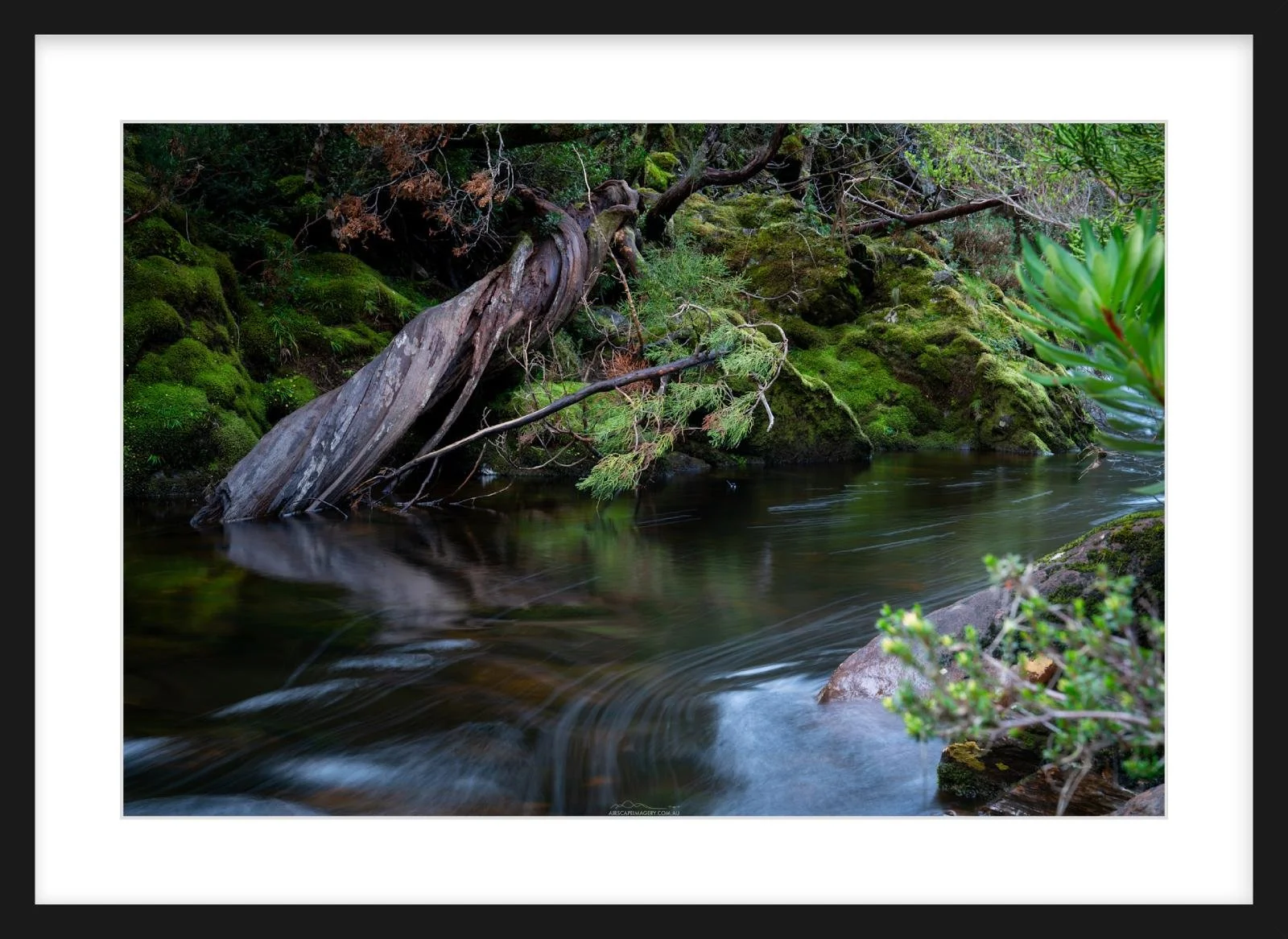 Douglas Creek
