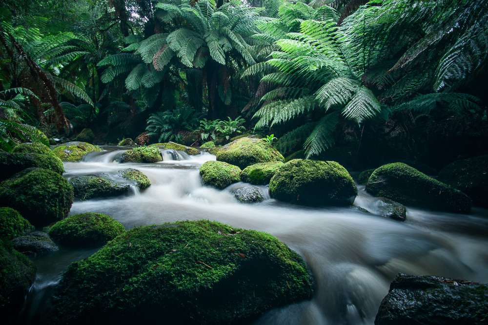 South George River (St Columba Falls), Tasmania.
