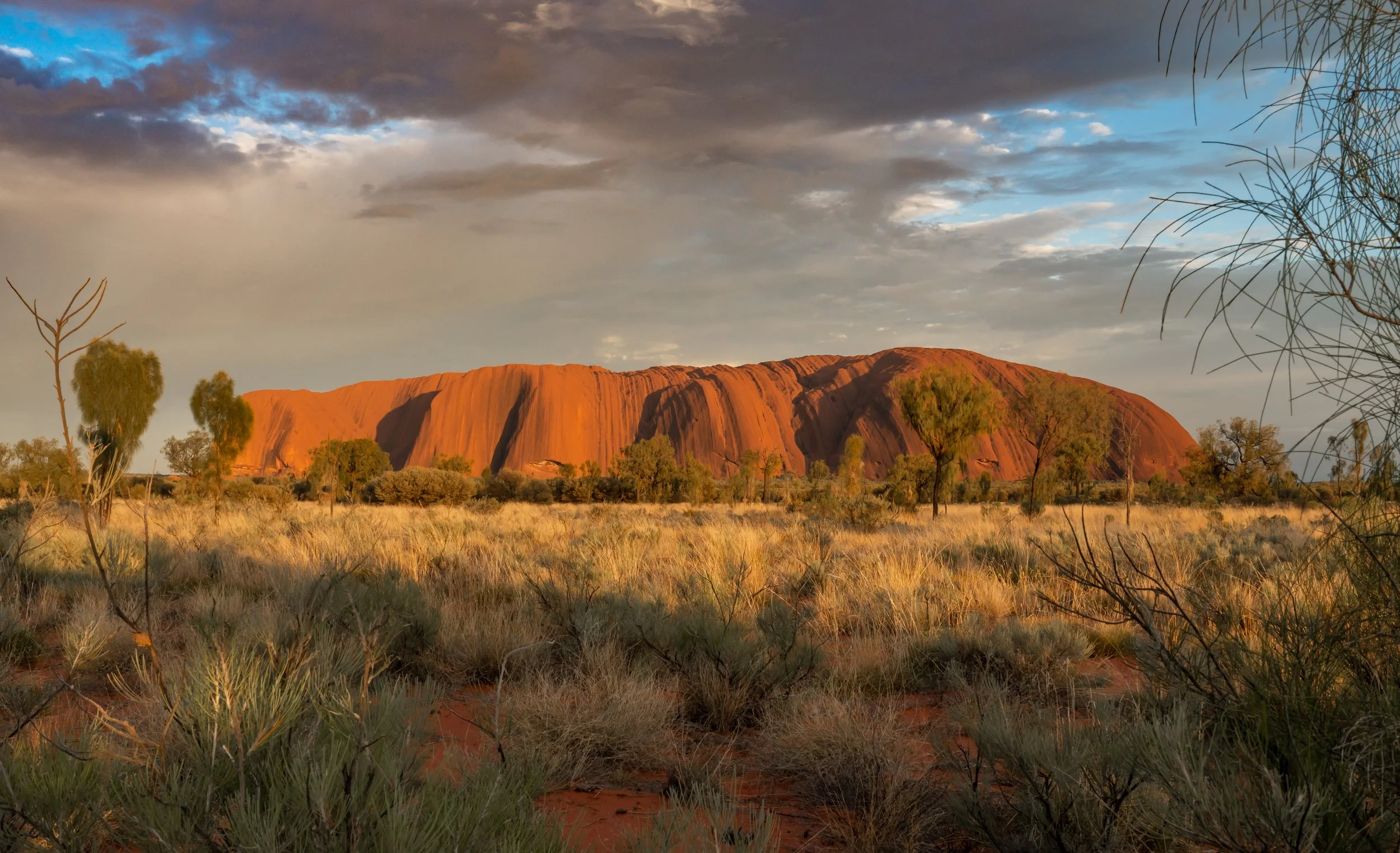 Country & Outback