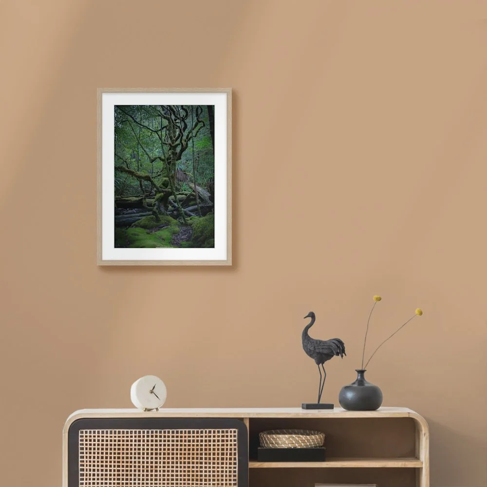 myrtle-beech-watermark_422-x-600mm_50mm_springfield_interior-console-with-bird.jpg