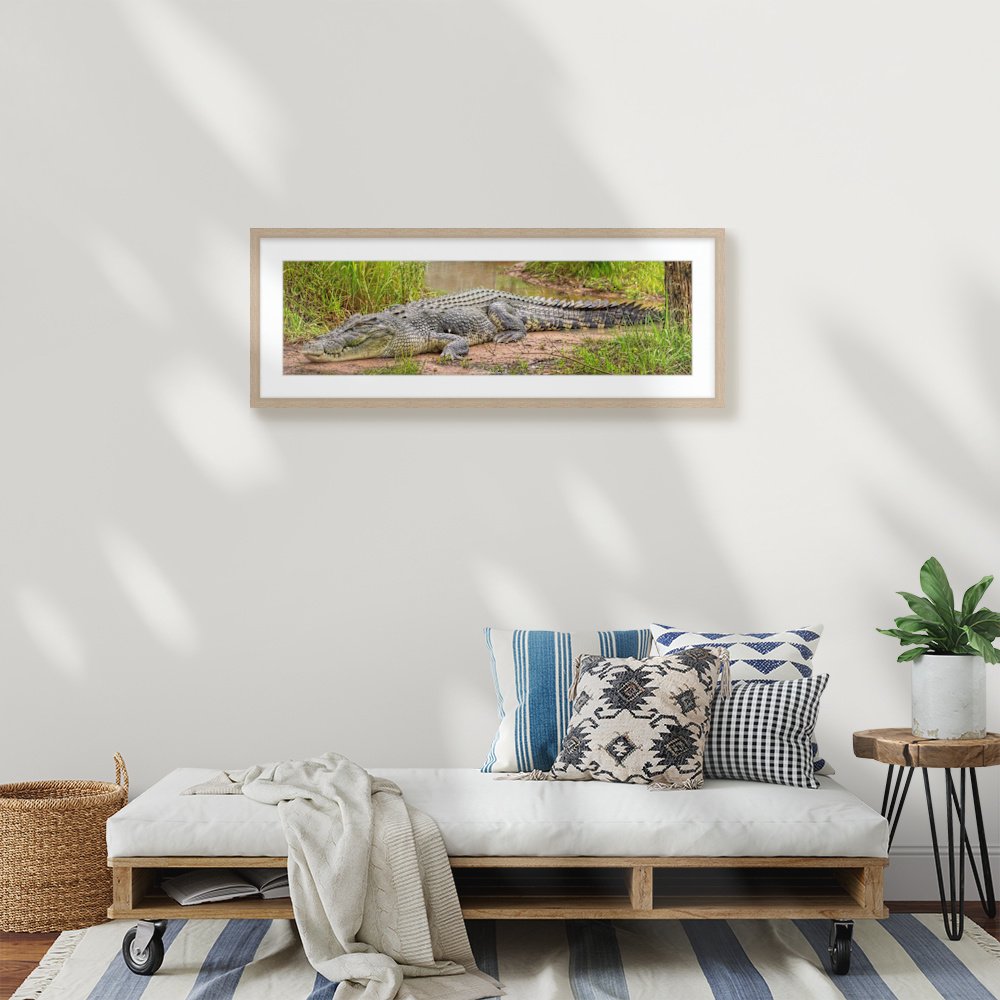 australian-saltie_900-x-252mm_50mm_springfield_interior-lounge.jpg