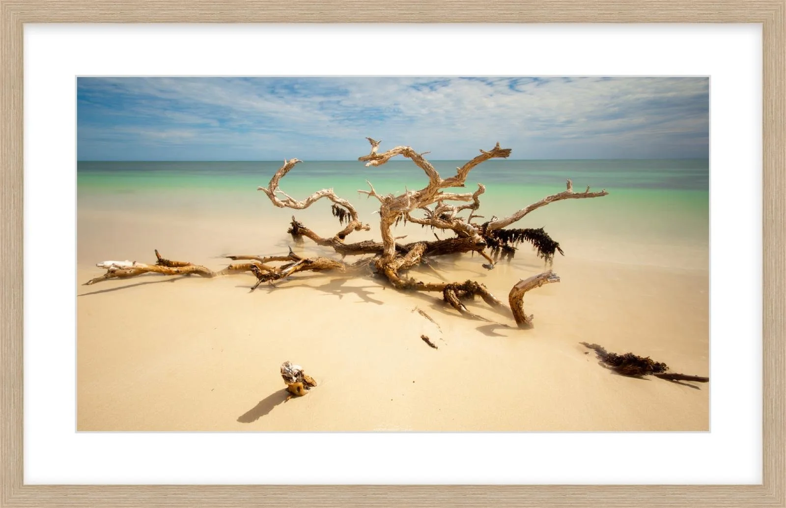 Ningaloo Driftwood
