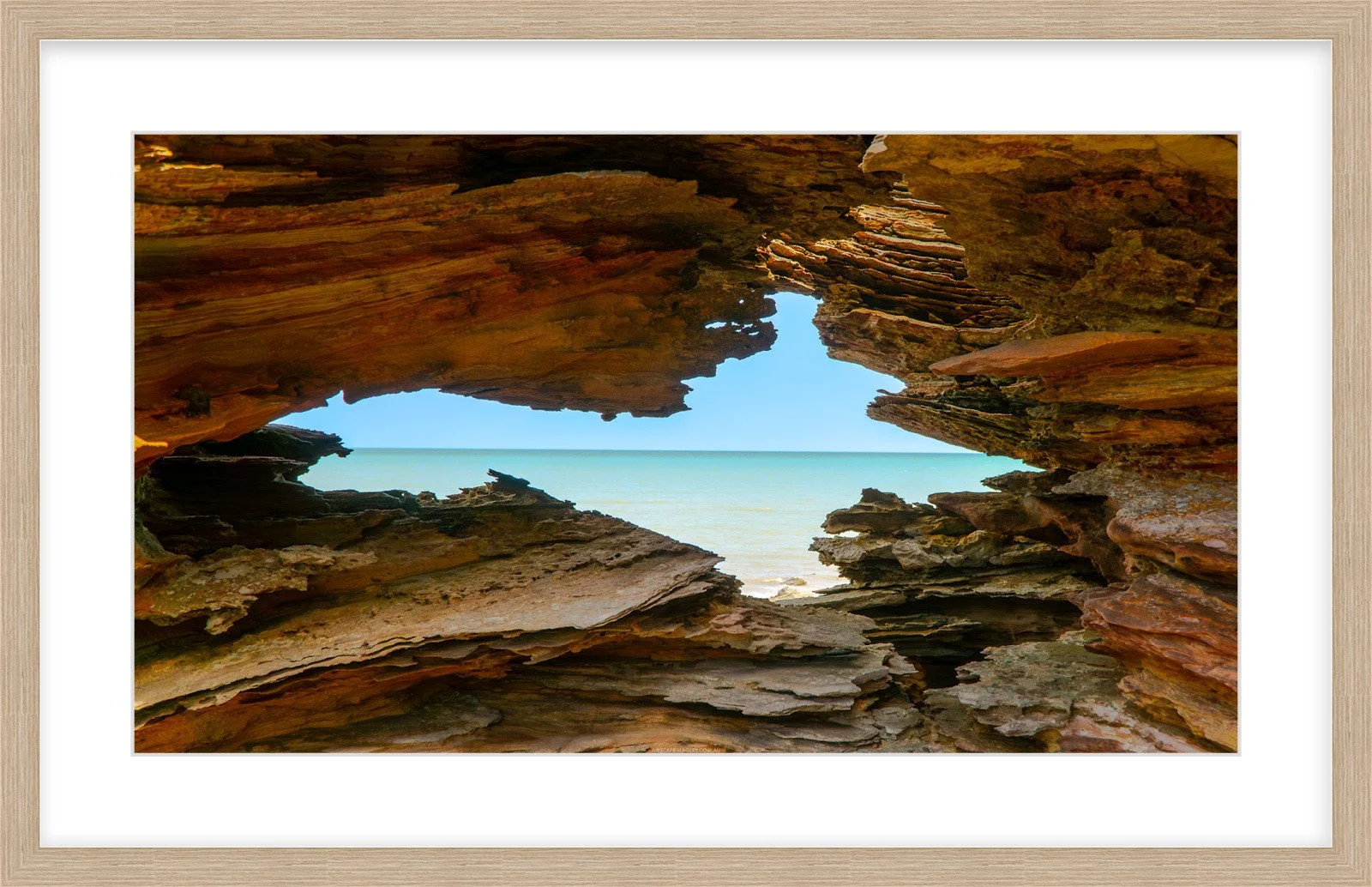 Roebuck Window Springfield.jpg