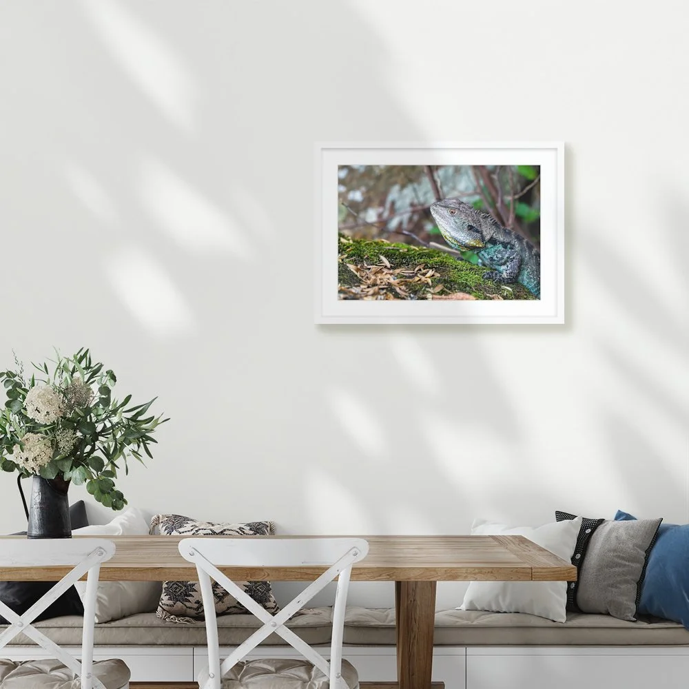eastern-water-dragon-gibraltar-falls-act_600-x-400mm_50mm_lennon-slim_interior-kitchen-table.jpg