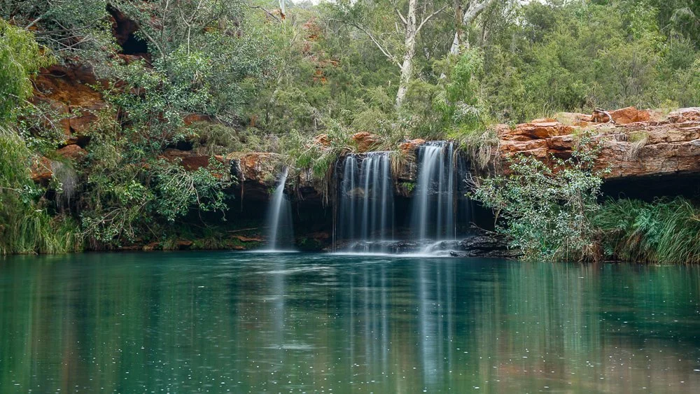 Fern Pool-50.jpg