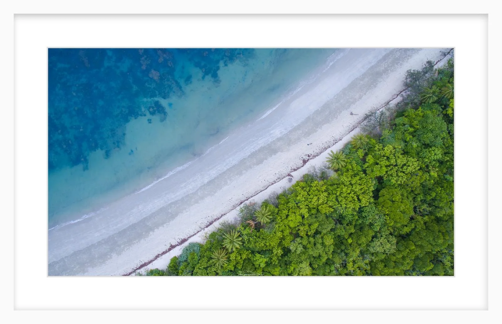 The Daintree