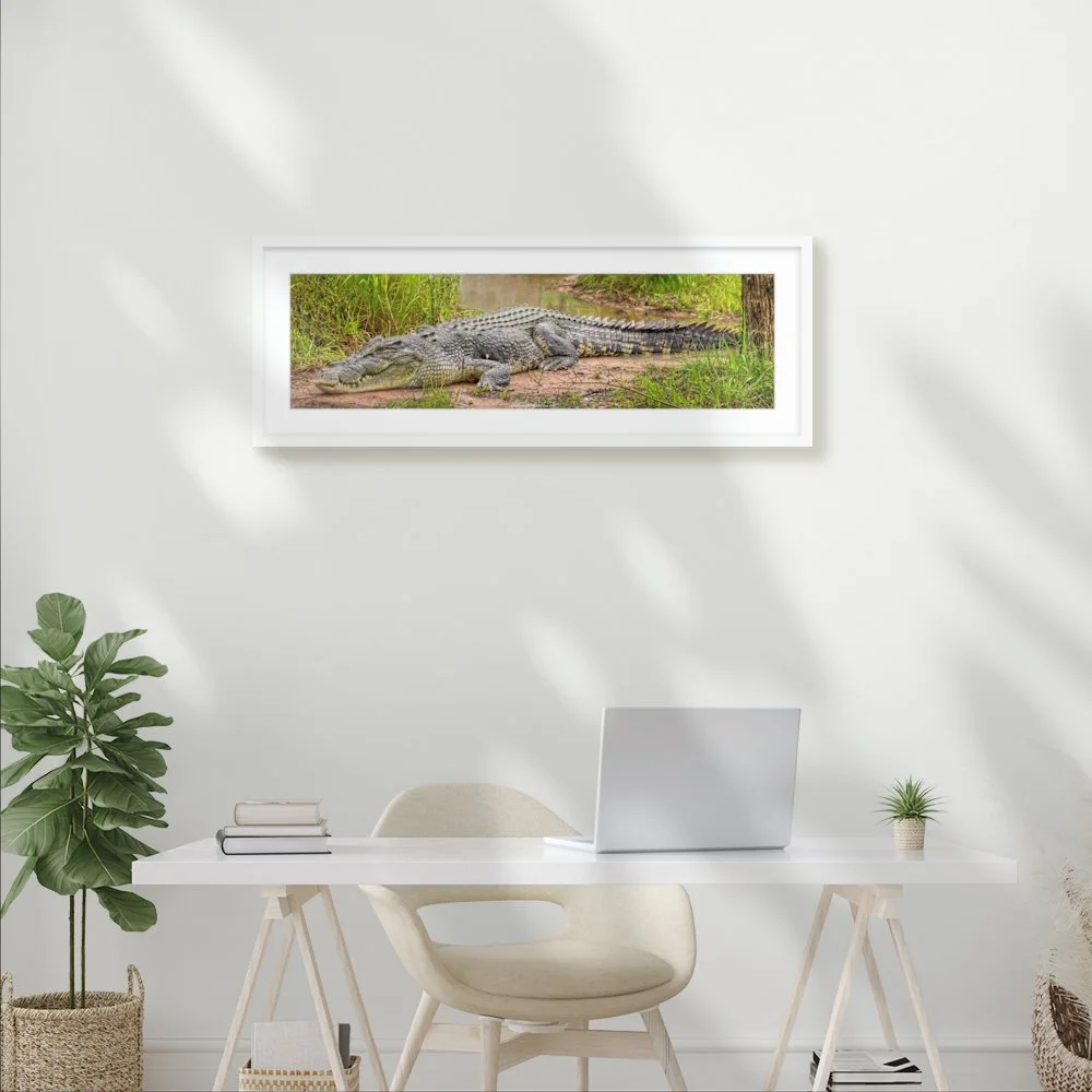 australian-saltie_900-x-252mm_50mm_lennon-slim_interior-office.jpg