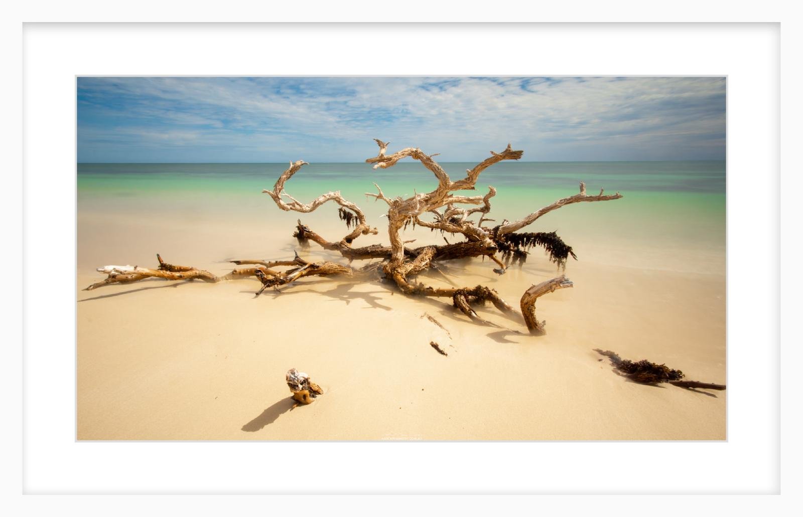 Ningaloo Driftwood Lennon Slim.jpg