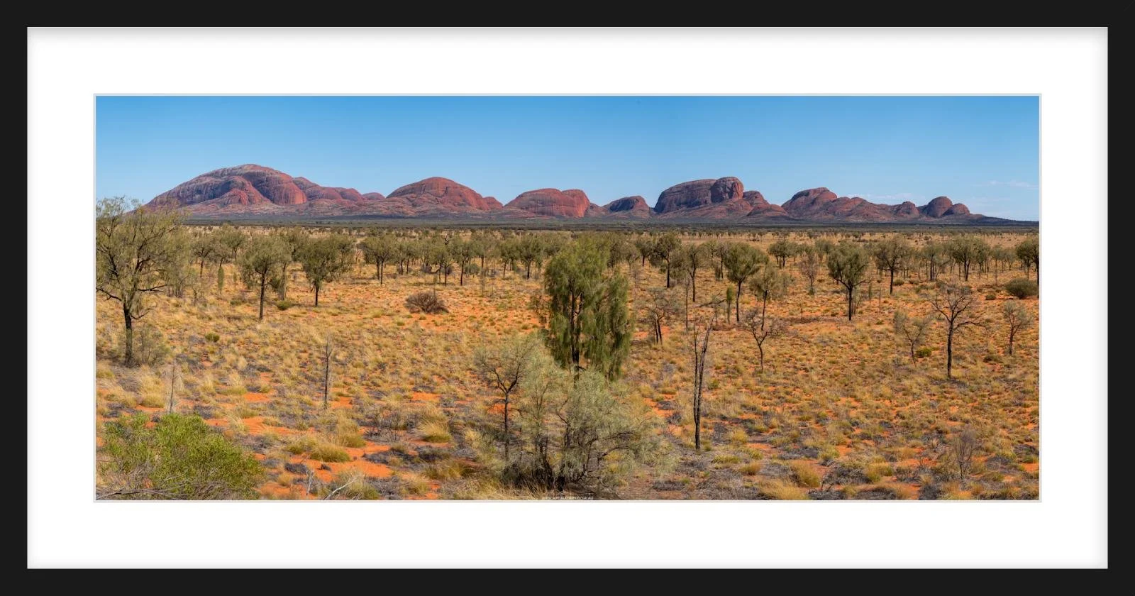 Kata Tjuta Pano Zeppelin Slim.jpg