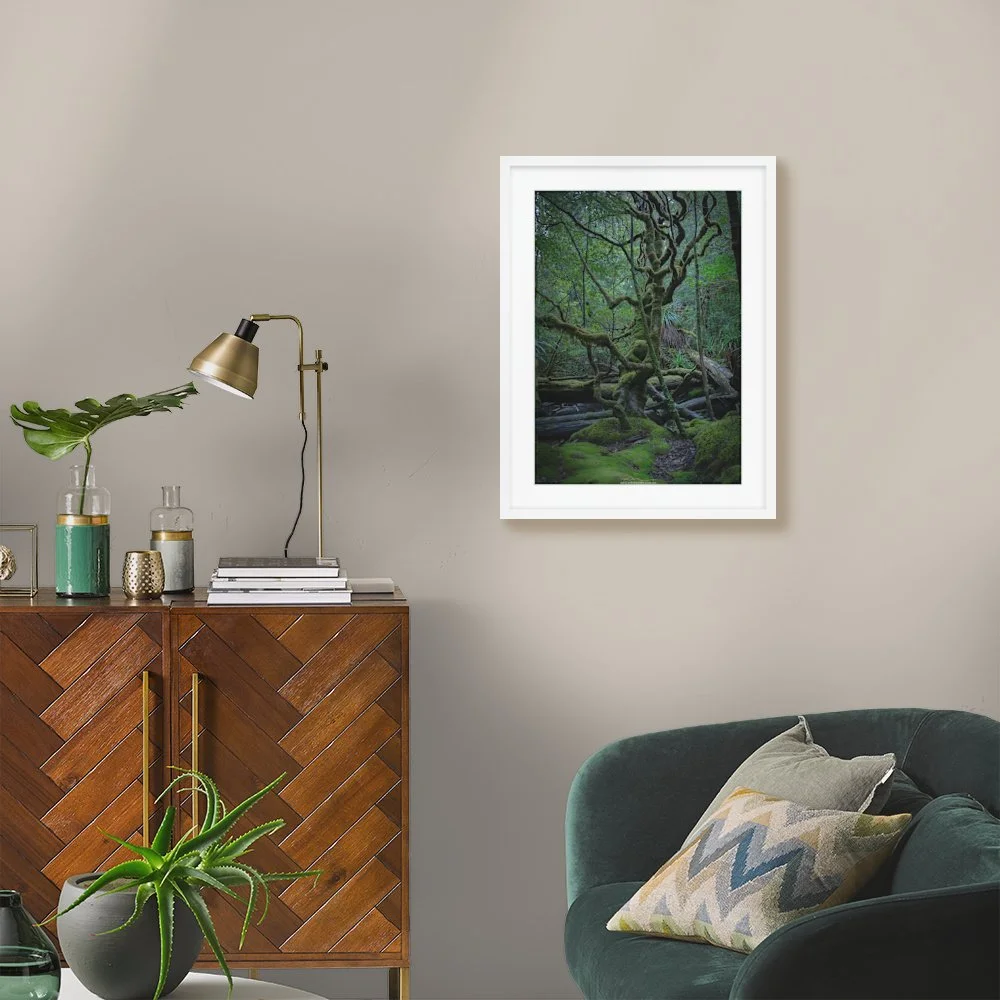 myrtle-beech-watermark_422-x-600mm_50mm_lennon-slim_interior-mid-century.jpg