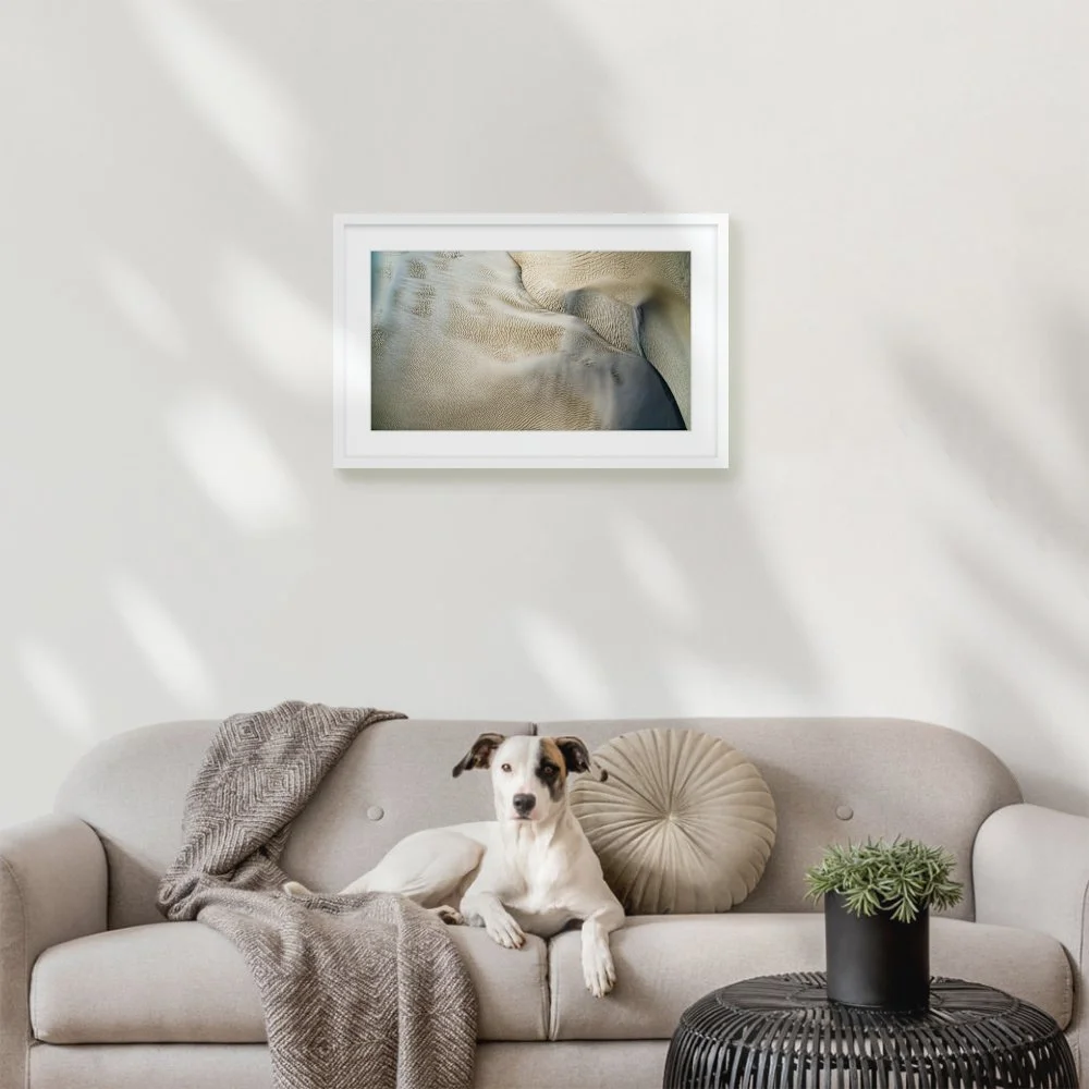 lancelin-dunes_600-x-337mm_50mm_lennon-slim_interior-dog-on-sofa.jpg
