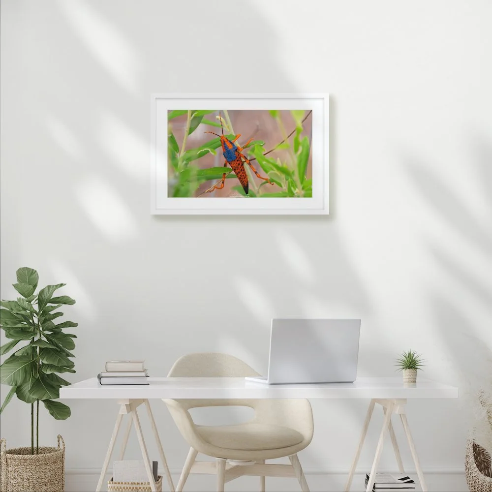 alyurr_600-x-363mm_50mm_lennon-slim_interior-office.jpg