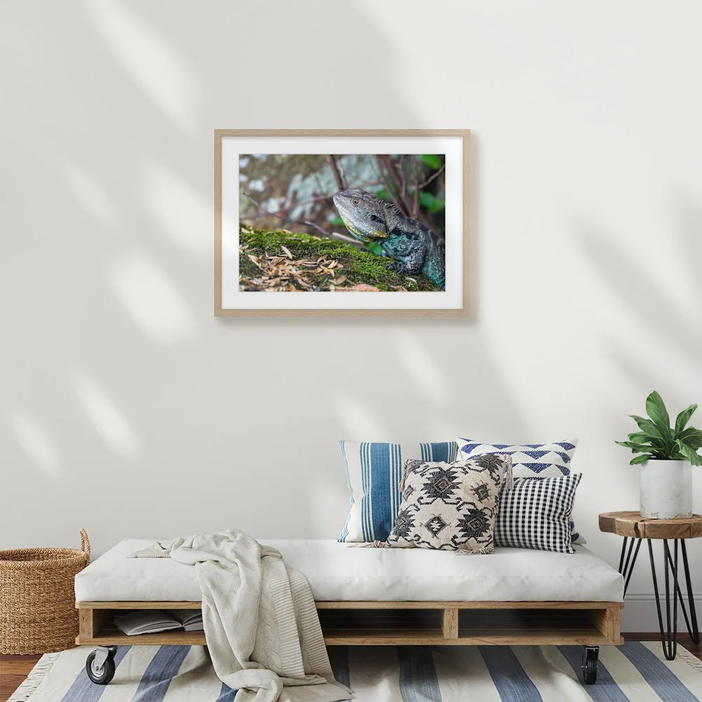 eastern-water-dragon-gibraltar-falls-act_600-x-400mm_50mm_springfield_interior-lounge.jpg