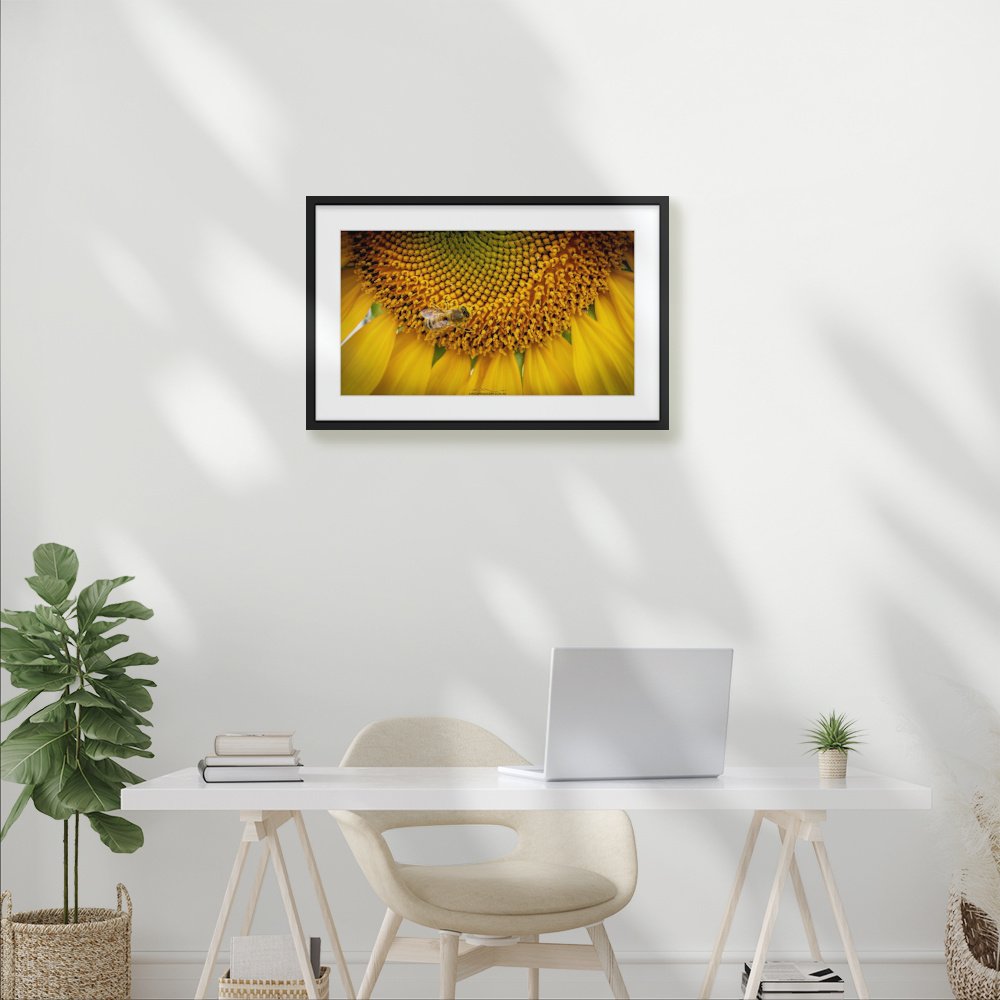sunny-buzz_600-x-338mm_50mm_zeppelin-slim_interior-office.jpg