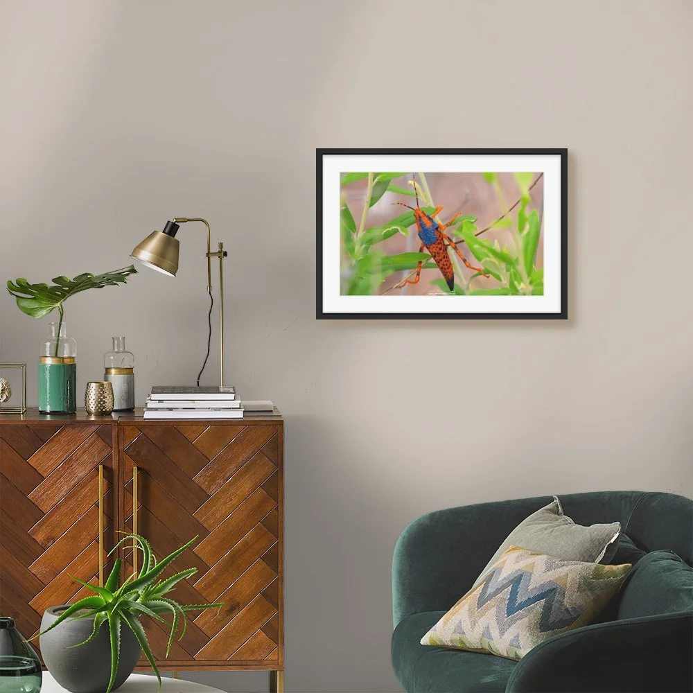 alyurr_600-x-363mm_50mm_zeppelin-slim_interior-mid-century.jpg