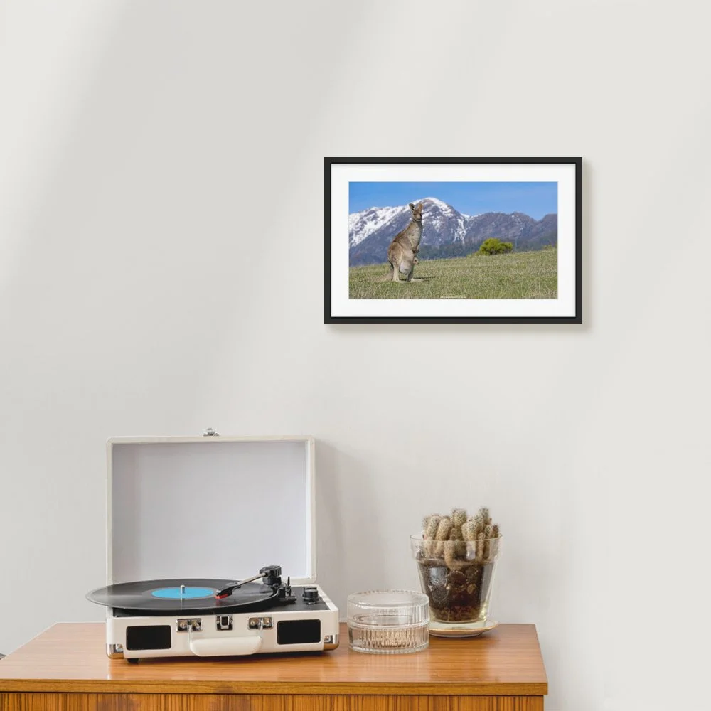 buller-wallaby_600-x-337mm_50mm_zeppelin-slim_interior-record-player.jpg