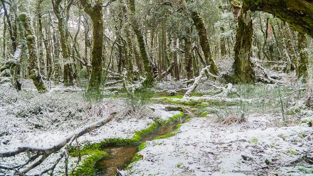 Snowy Stream The Overland-39.jpg