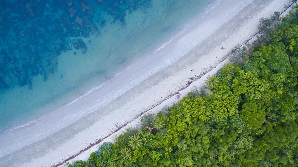Cape Tribulation, Queensland.