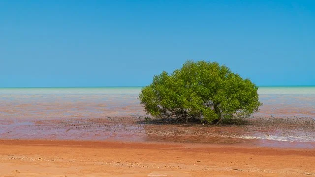 Roebuck Bay .jpg