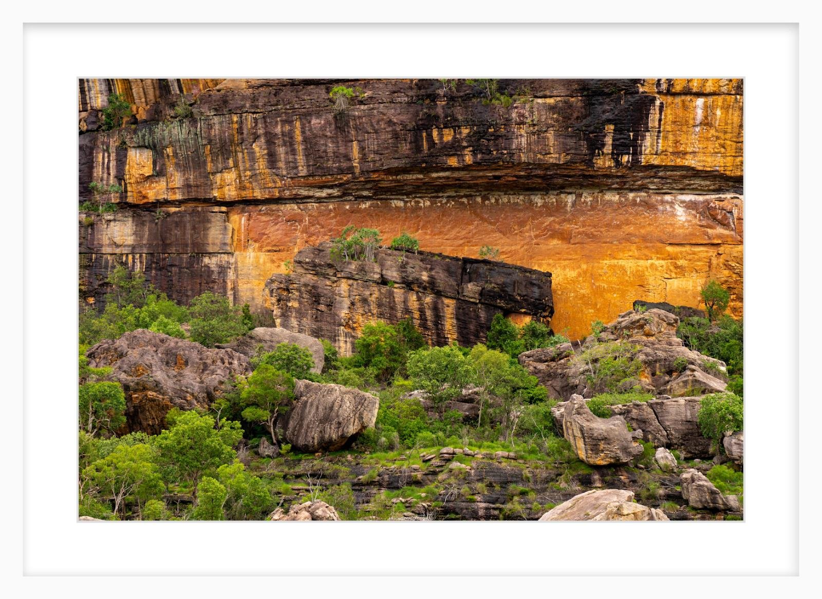 Kakadu Lennon Slim.jpg