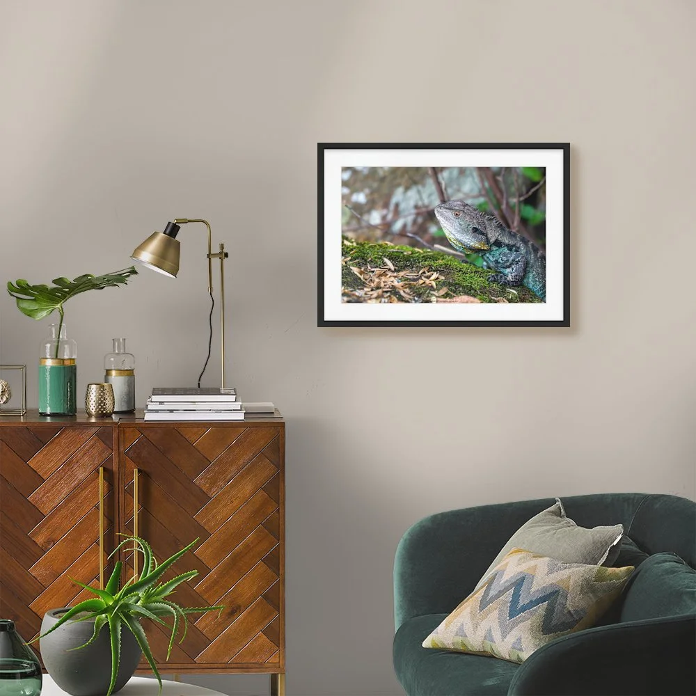 eastern-water-dragon-gibraltar-falls-act_600-x-400mm_50mm_zeppelin-slim_interior-mid-century.jpg