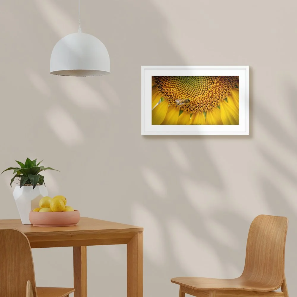 sunny-buzz_600-x-338mm_50mm_lennon-slim_interior-dining-room.jpg