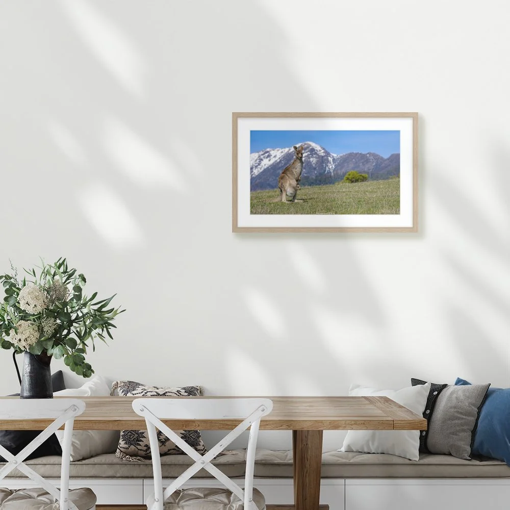buller-wallaby_600-x-337mm_50mm_springfield_interior-kitchen-table.jpg
